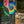 Load image into Gallery viewer, High Spirits Tie Dye - Sage Screenprinting