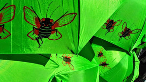 Cicada Defense Umbrella, Brood X Accessories - Sage Screenprinting